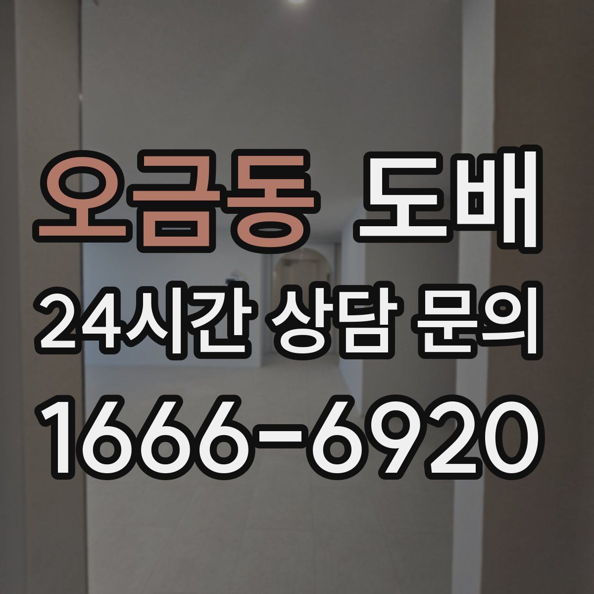 오금동 도배