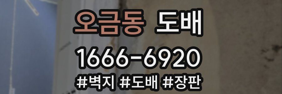 오금동 도배
