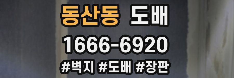 동산동 도배