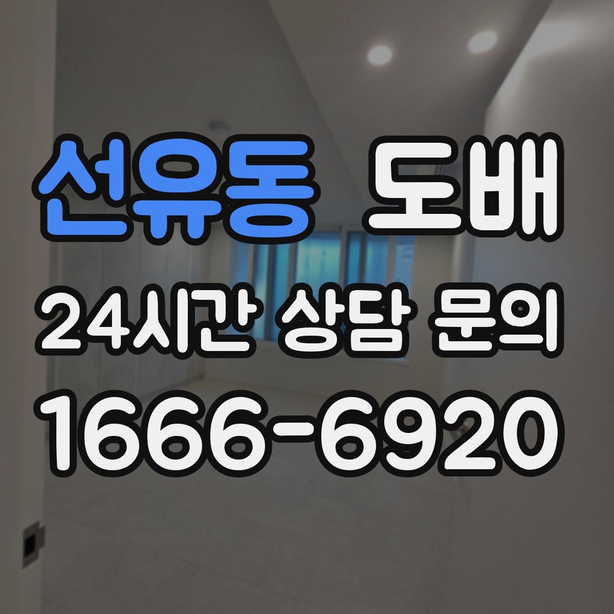 선유동 도배
