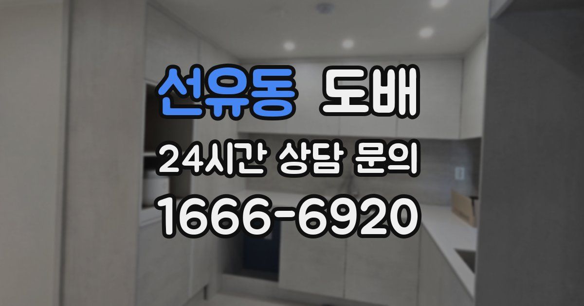 선유동 도배