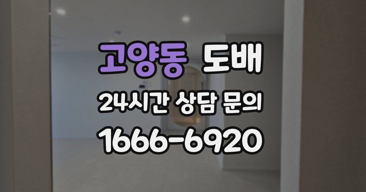 고양동 도배