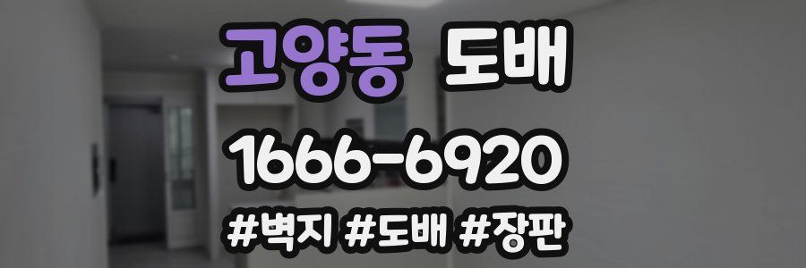 고양동 도배