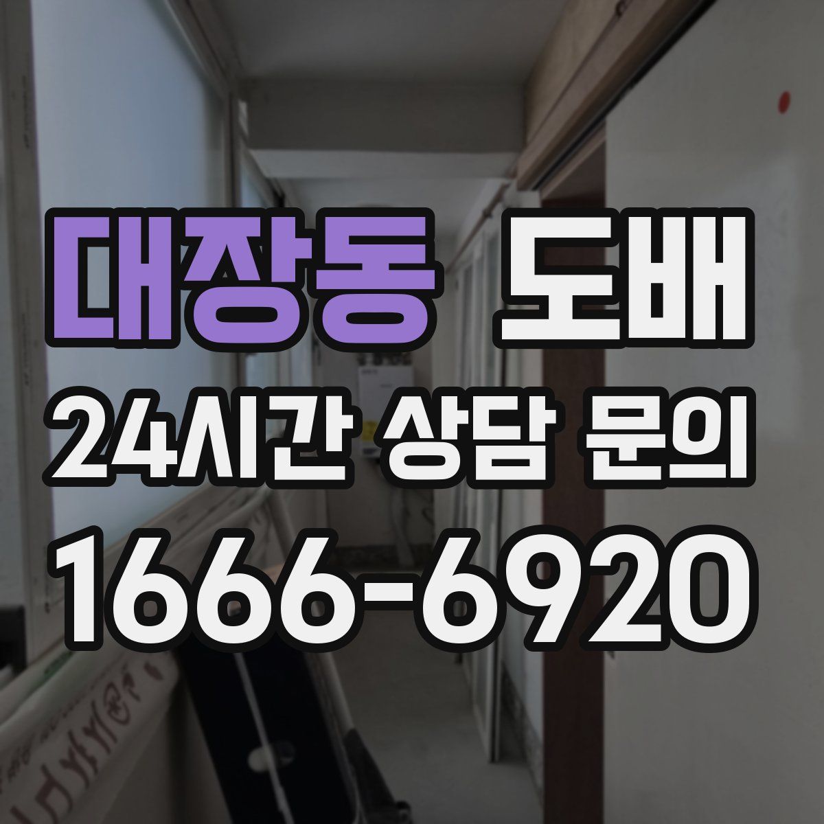 대장동 도배