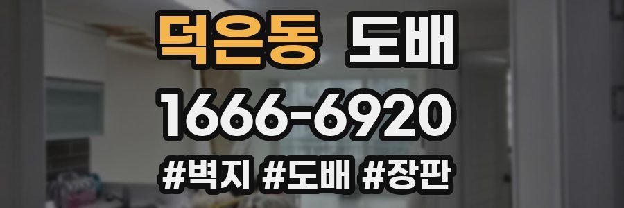 덕은동 도배