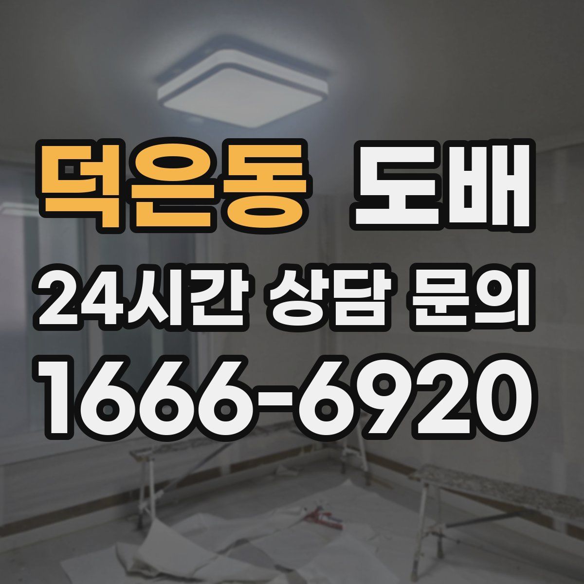 덕은동 도배