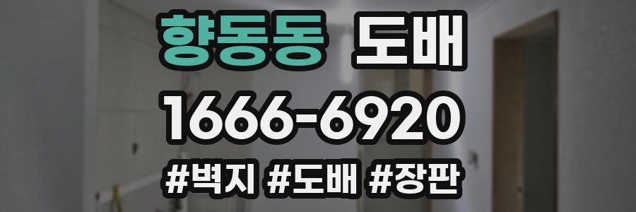향동동 도배