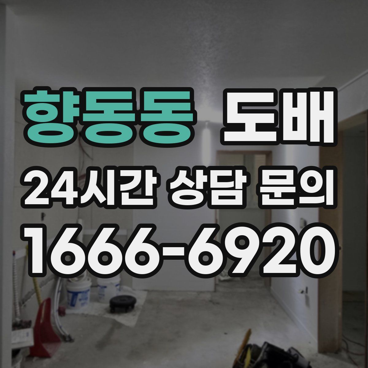 향동동 도배