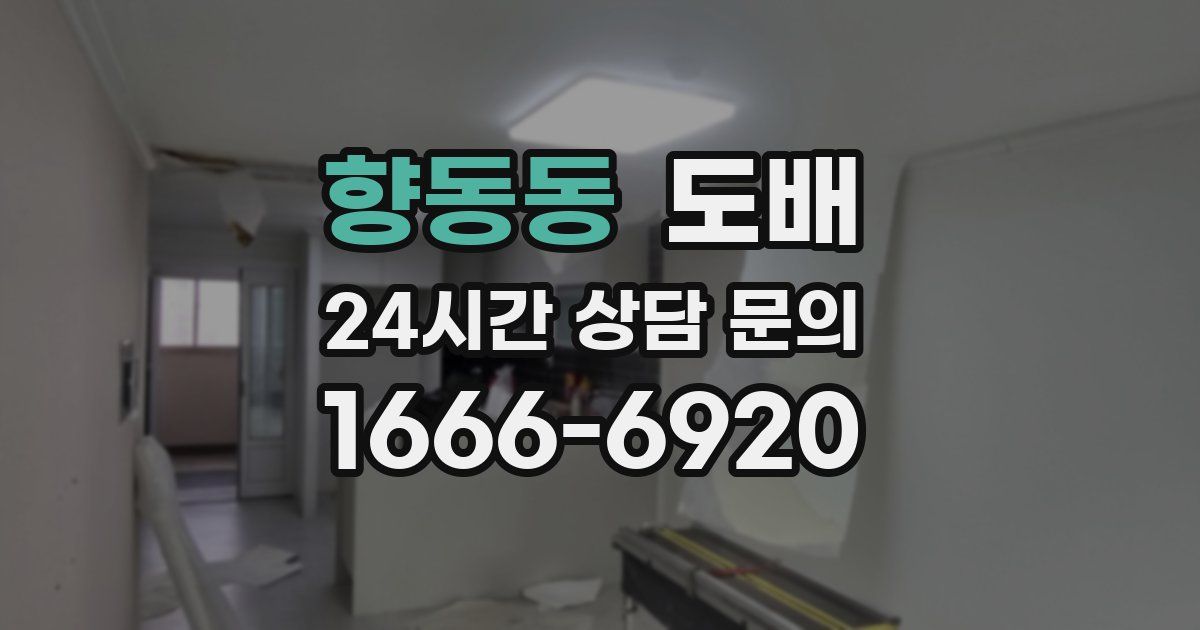 향동동 도배