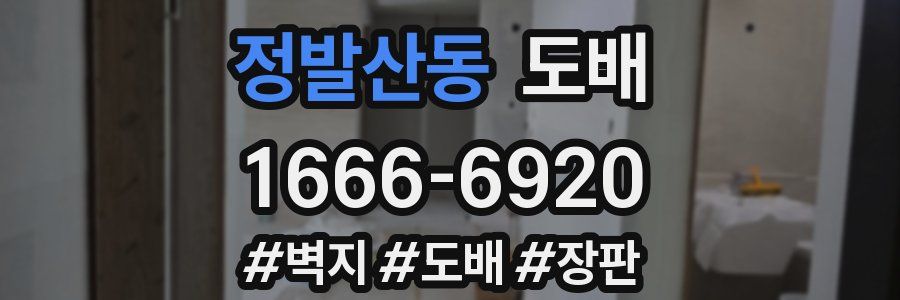 정발산동 도배