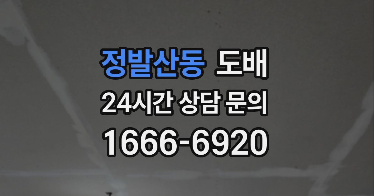 정발산동 도배