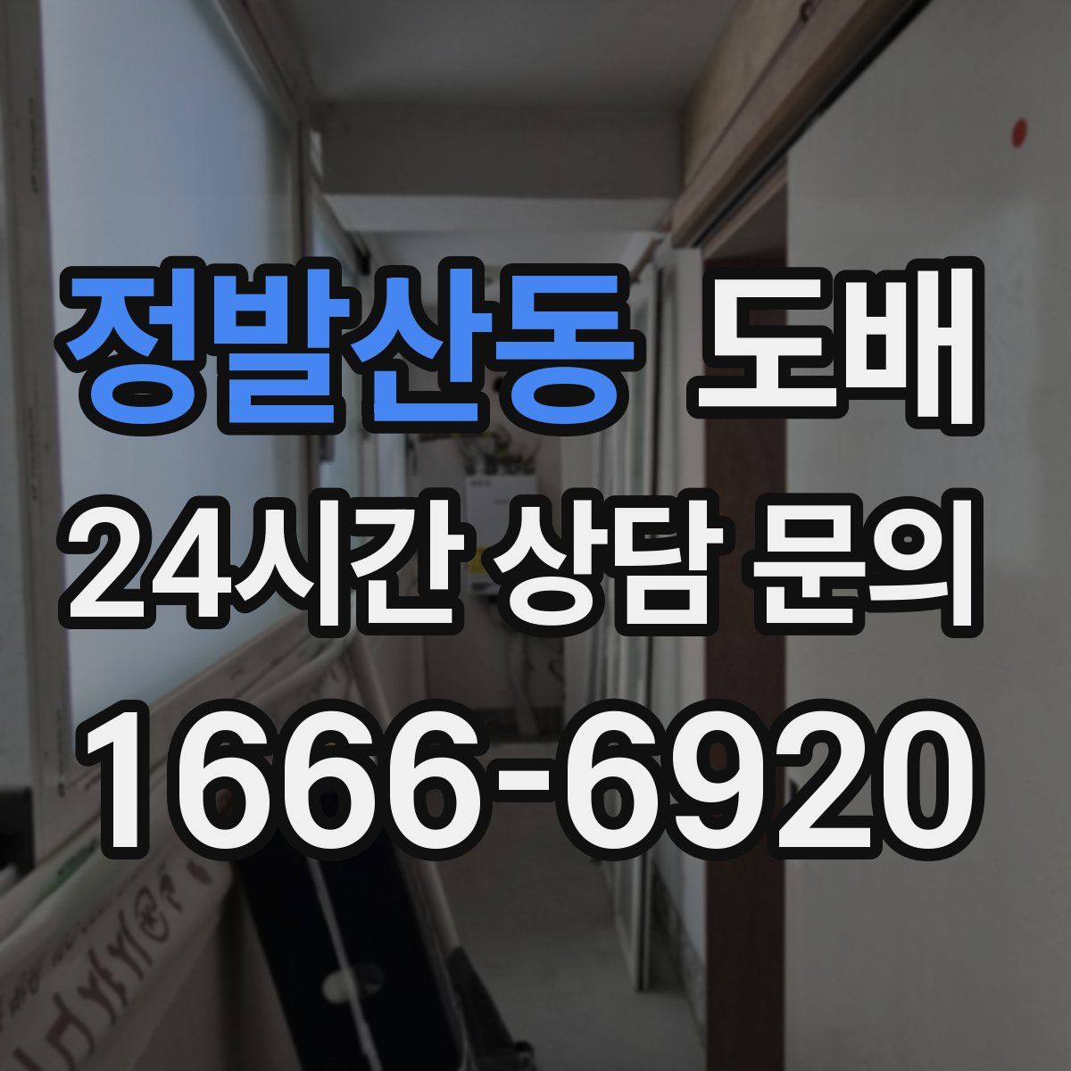 정발산동 도배