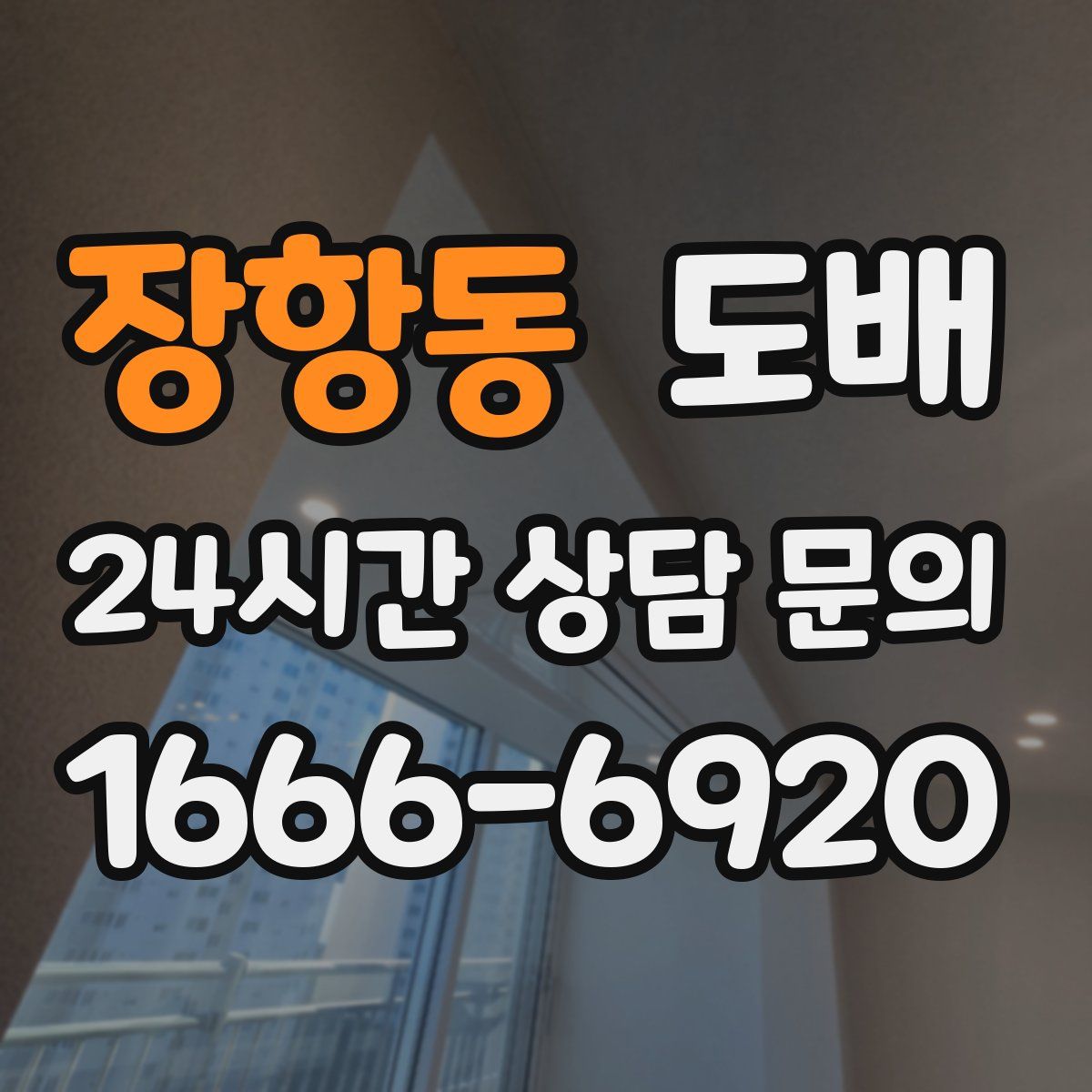 장항동 도배