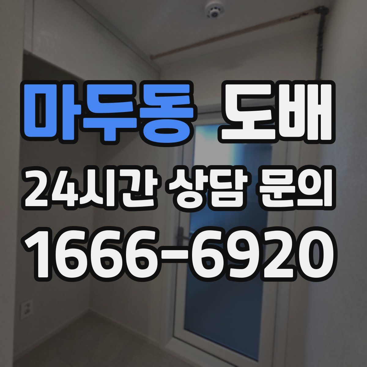 마두동 도배