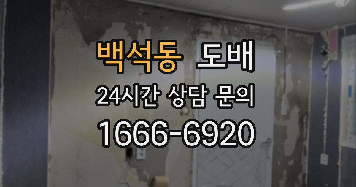 백석동 도배