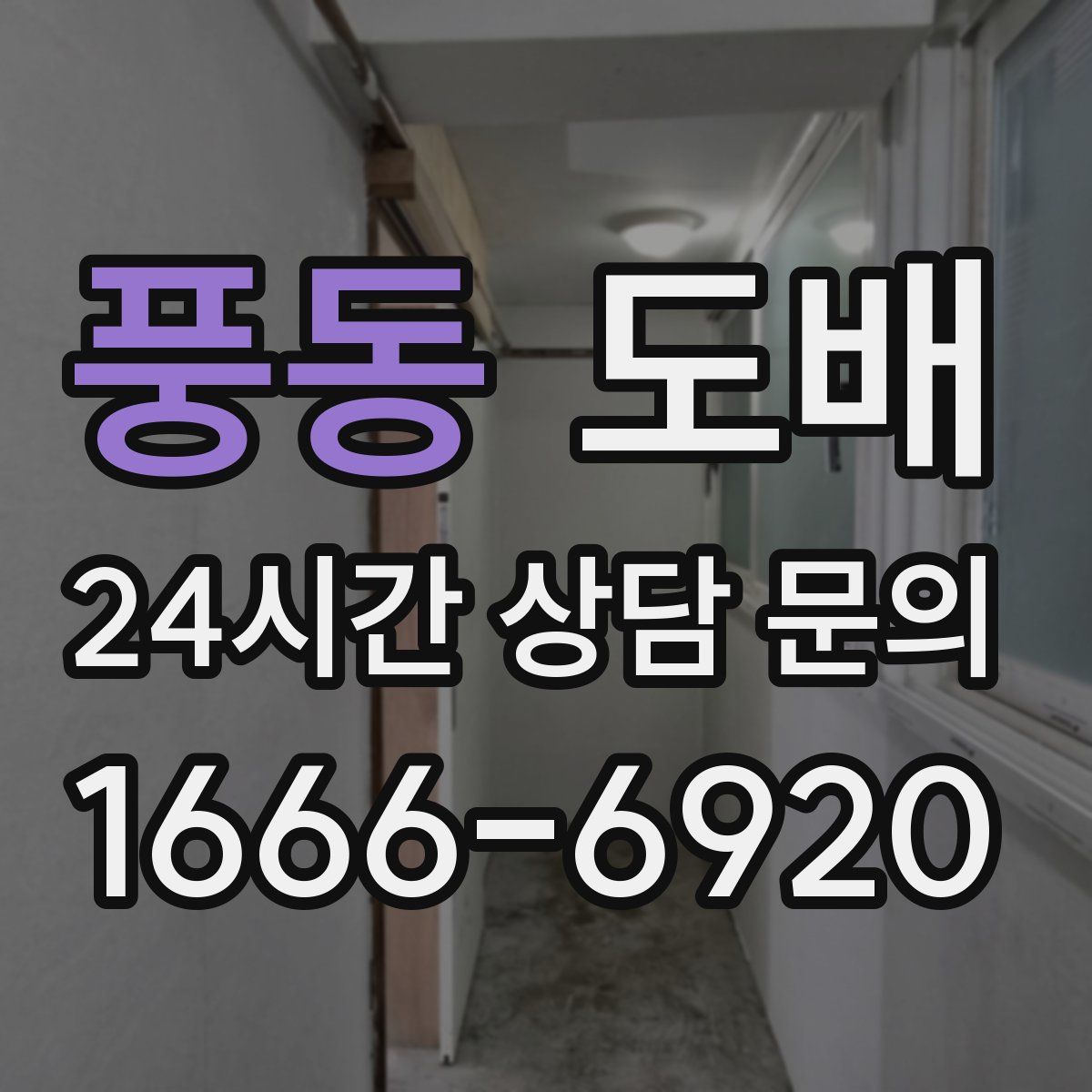풍동 도배