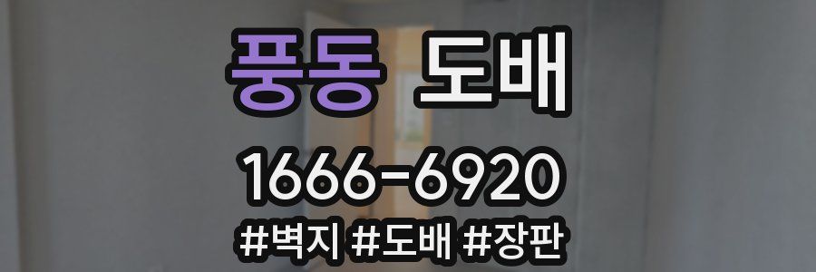 풍동 도배