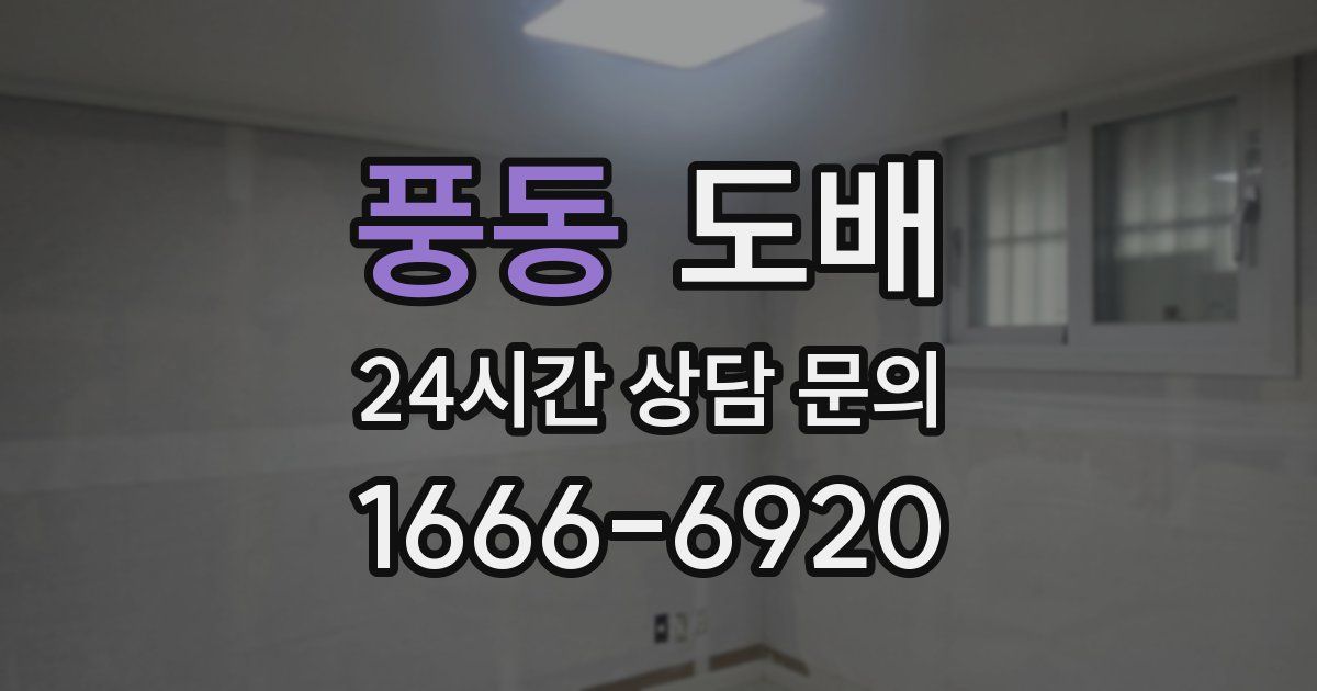 풍동 도배