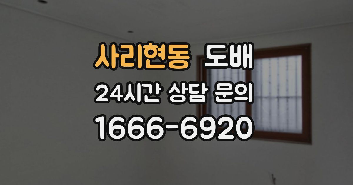 사리현동 도배