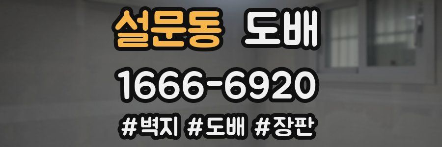 설문동 도배