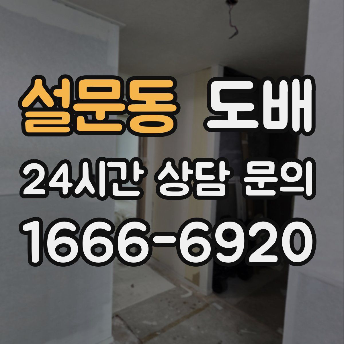 설문동 도배