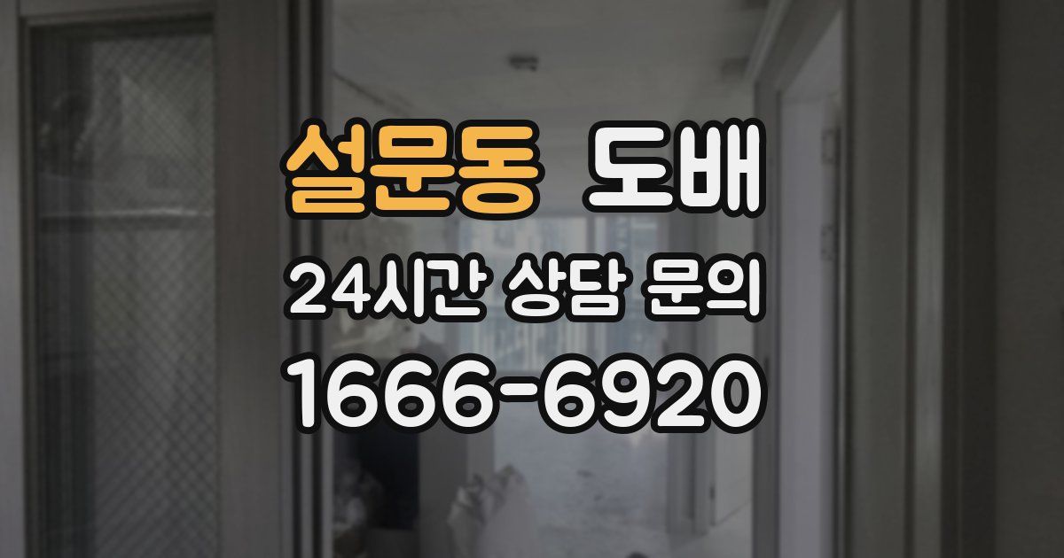설문동 도배