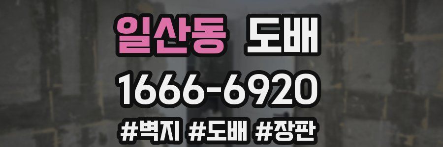 일산동 도배