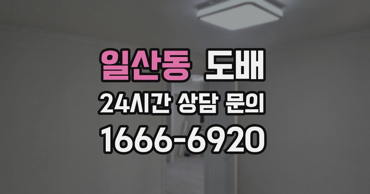 일산동 도배