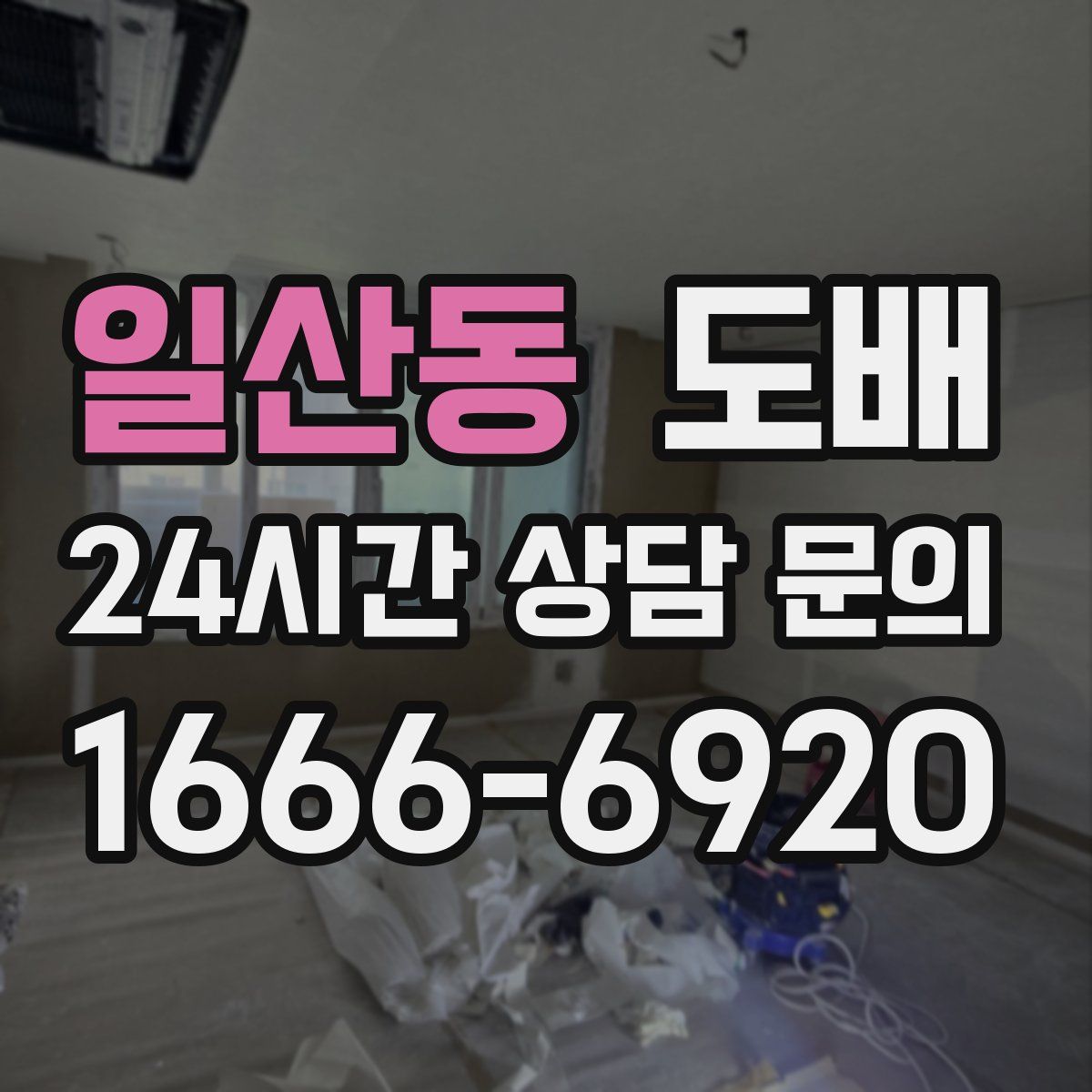 일산동 도배