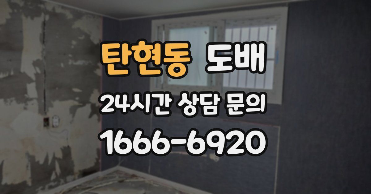 탄현동 도배