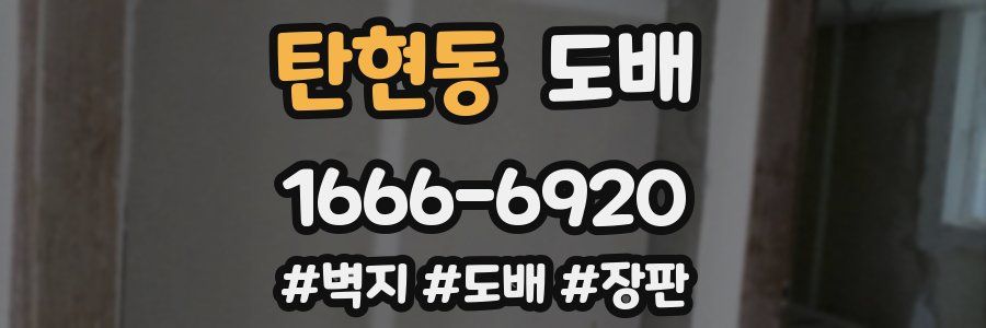탄현동 도배