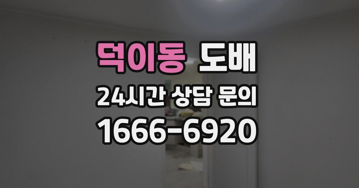 덕이동 도배
