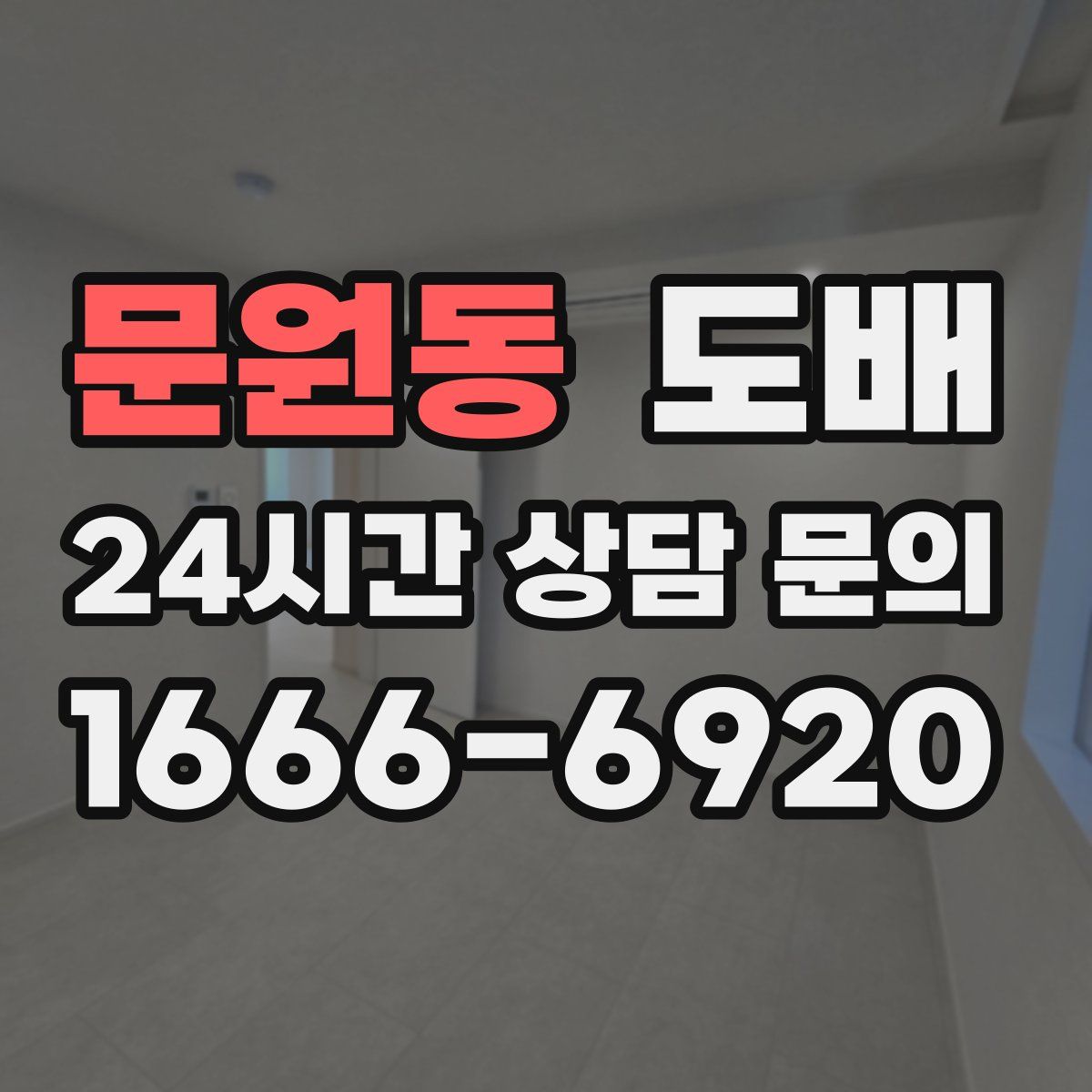 문원동 도배