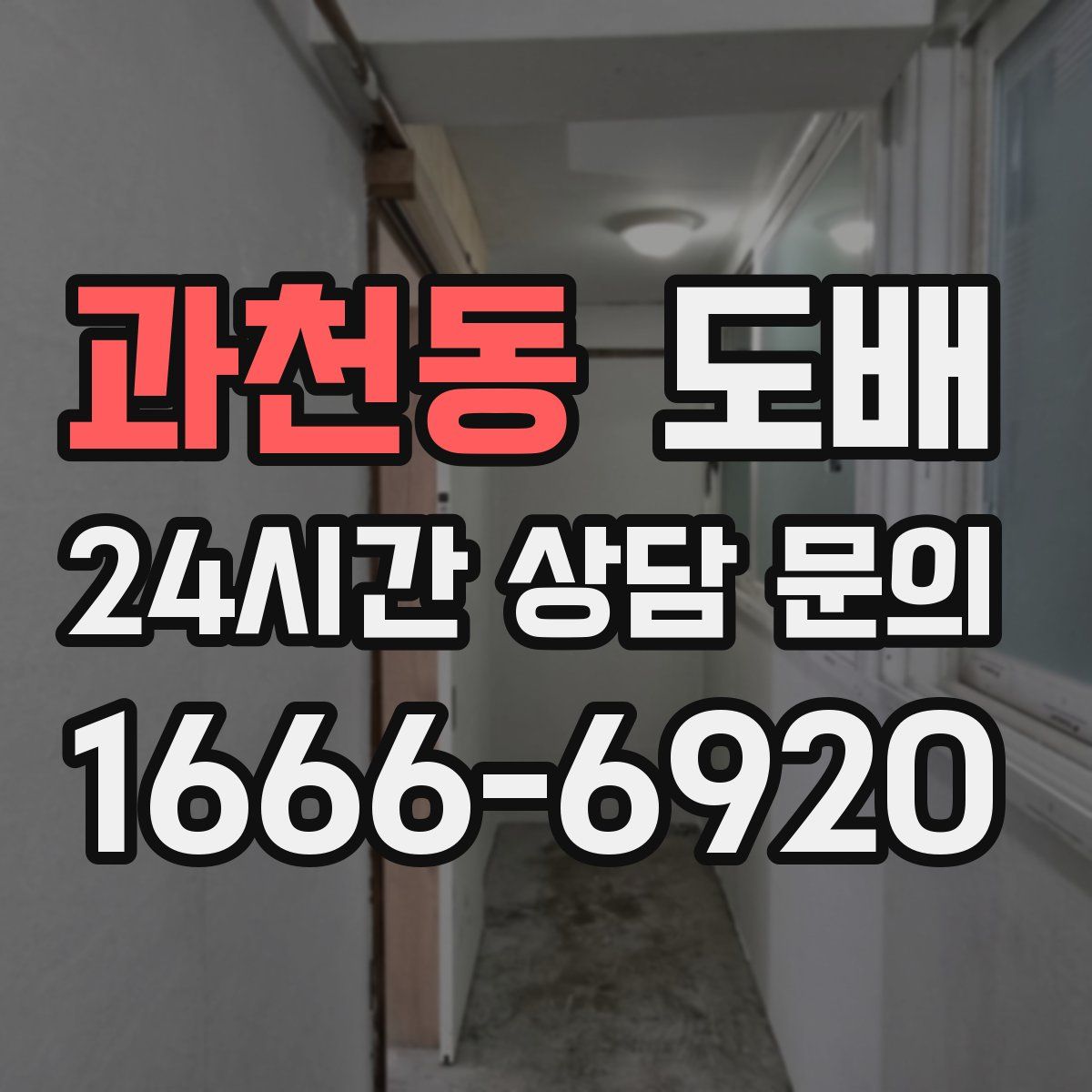 과천동 도배