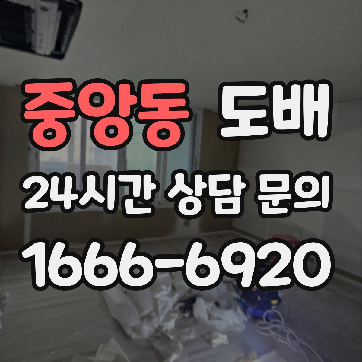 중앙동 도배