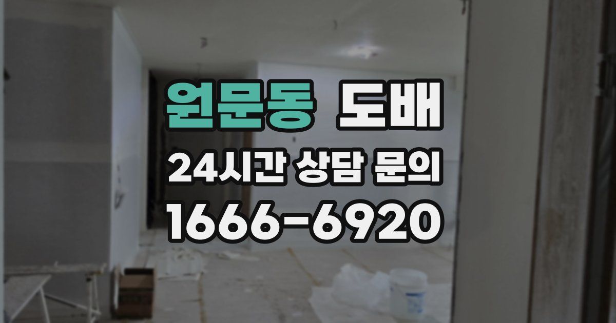 원문동 도배