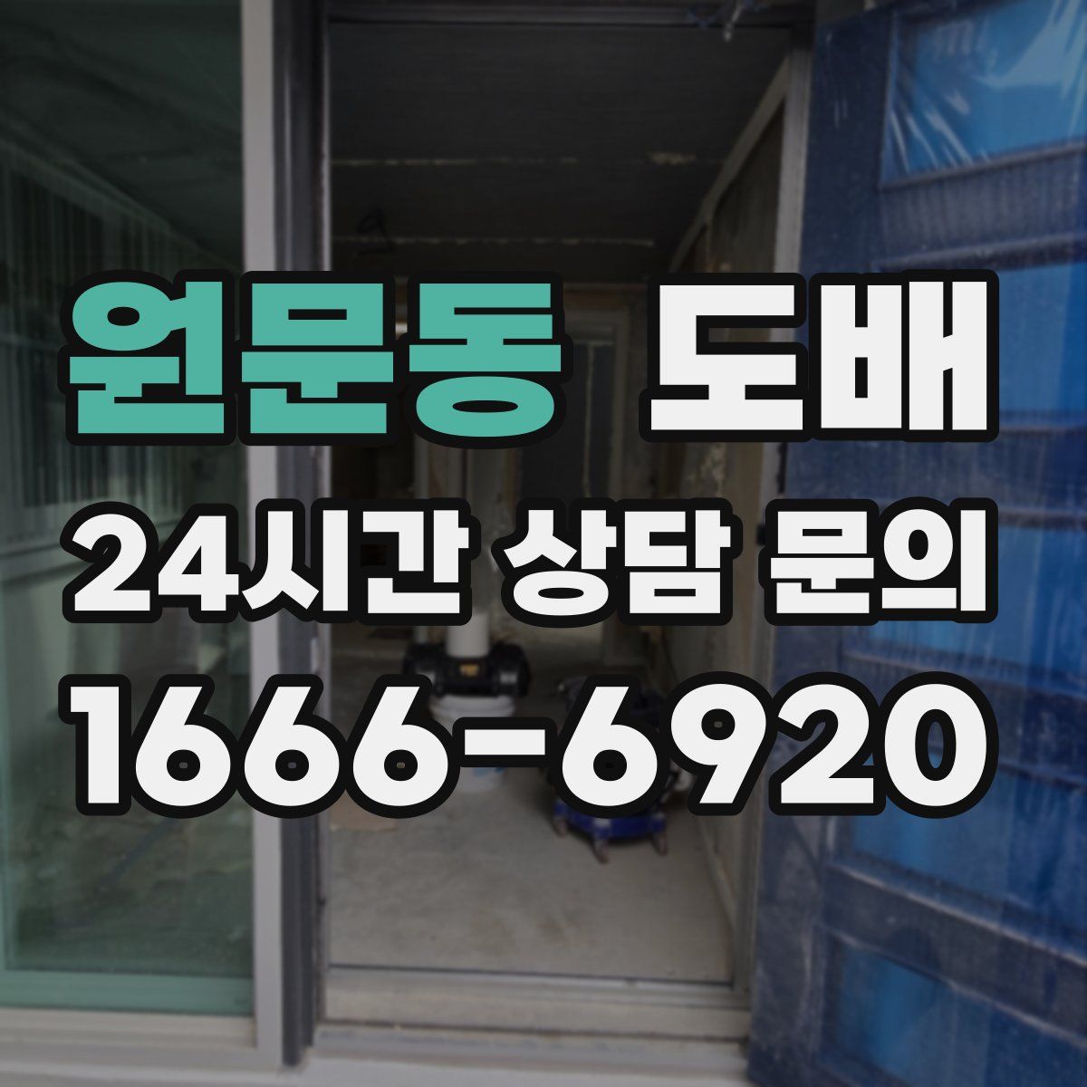 원문동 도배