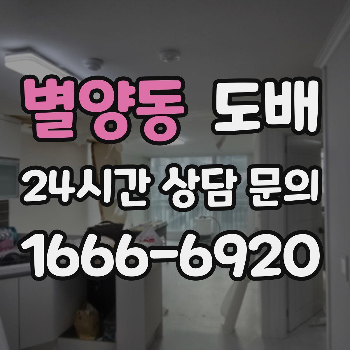 별양동 도배