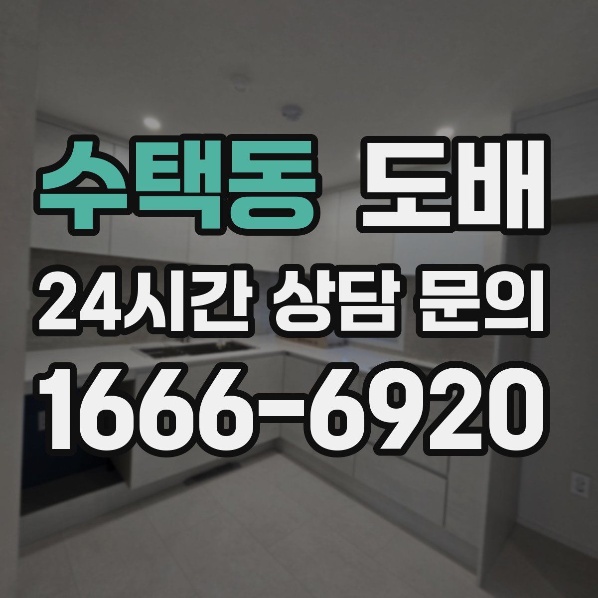 수택동 도배
