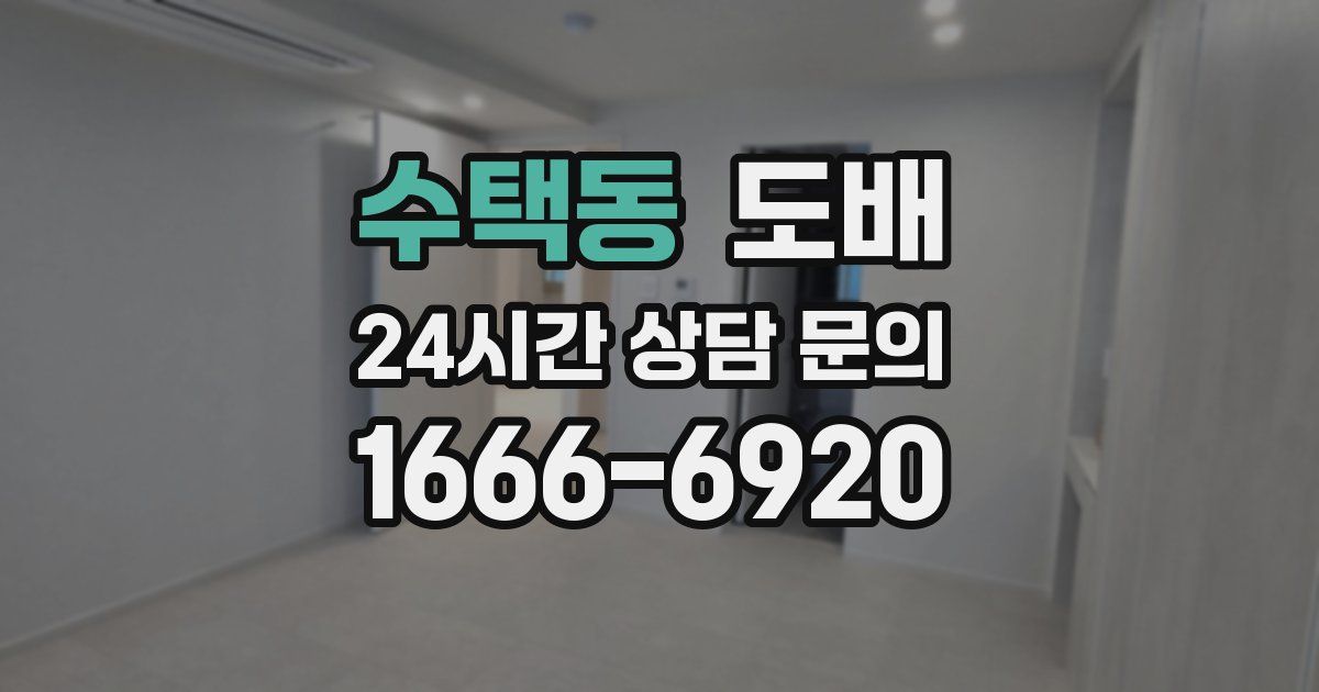 수택동 도배