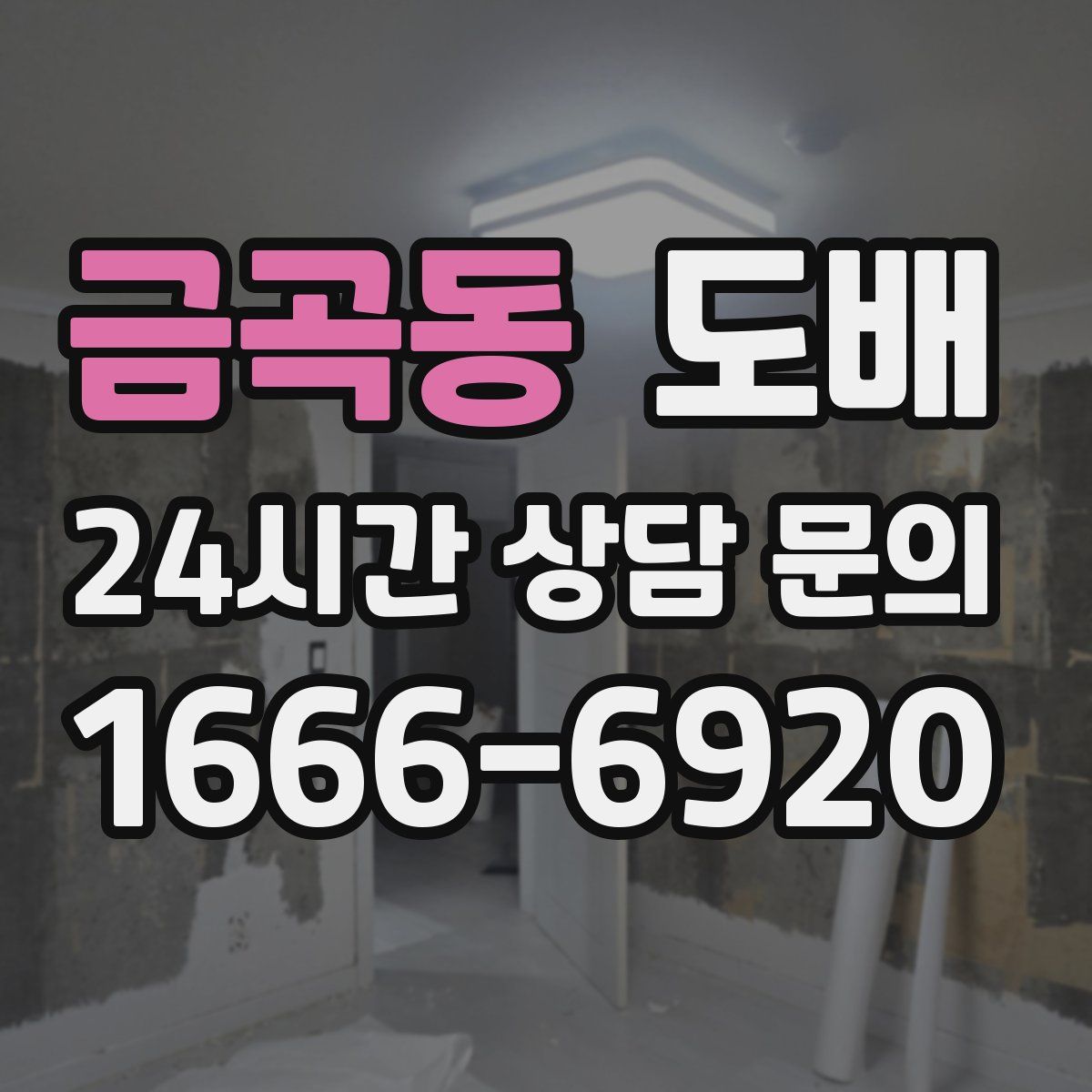 금곡동 도배