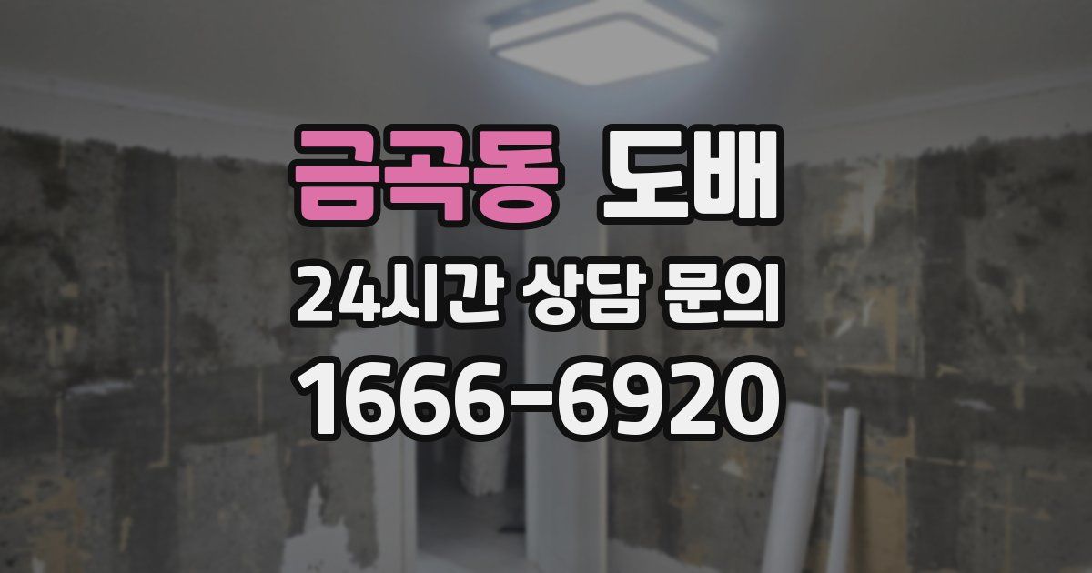 금곡동 도배