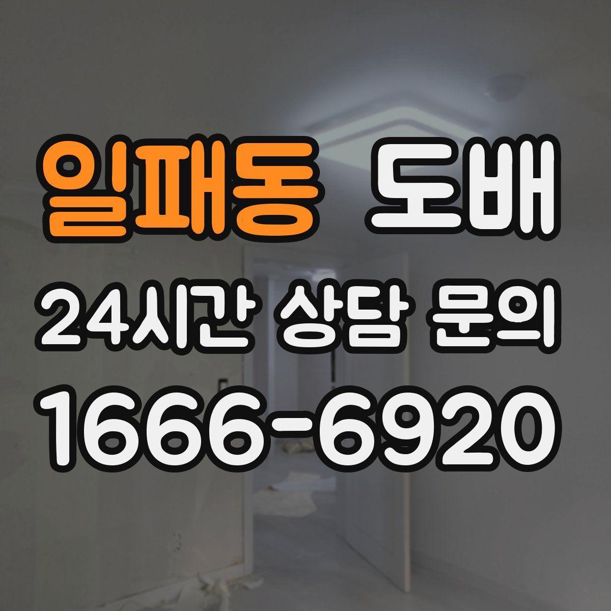 일패동 도배