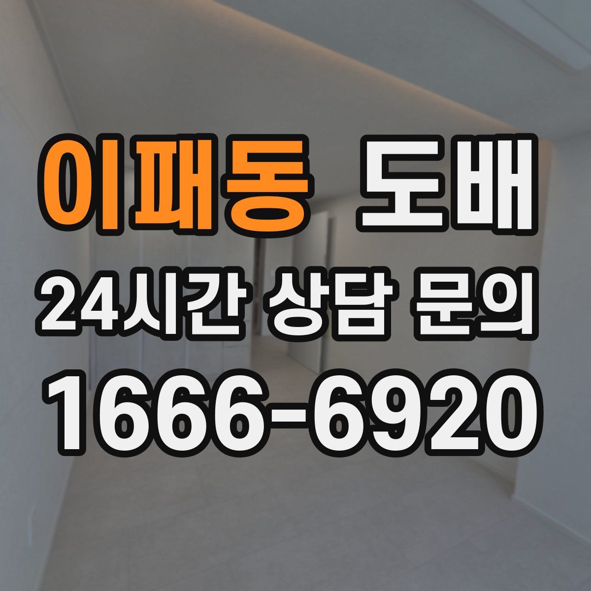 이패동 도배