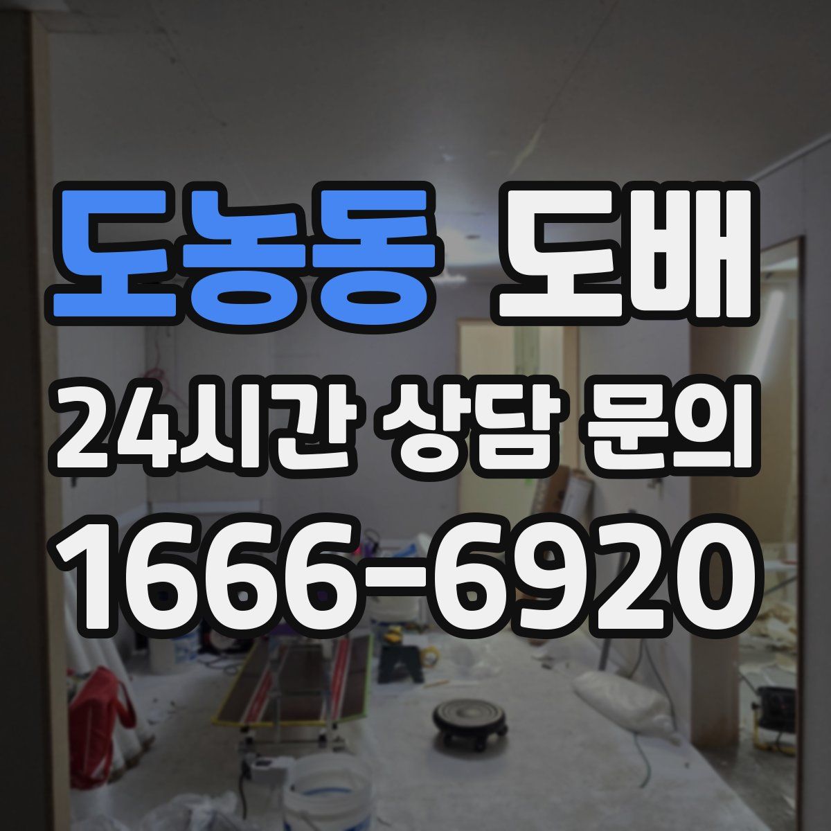 도농동 도배