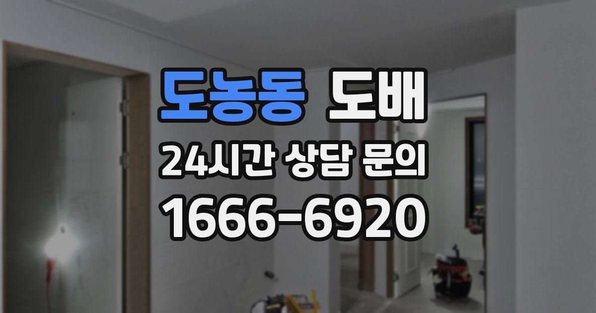 도농동 도배