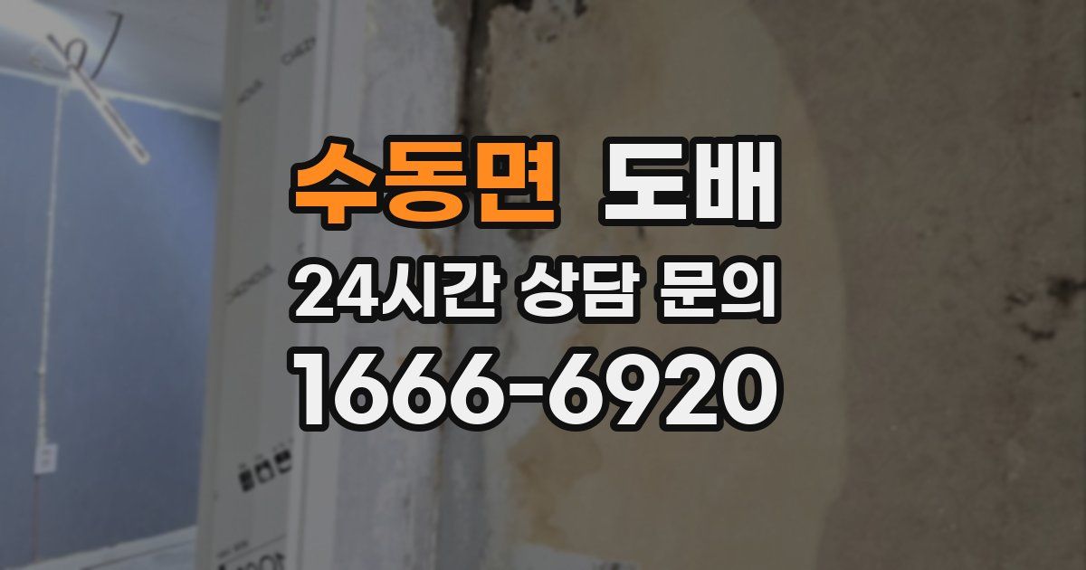 수동면 도배