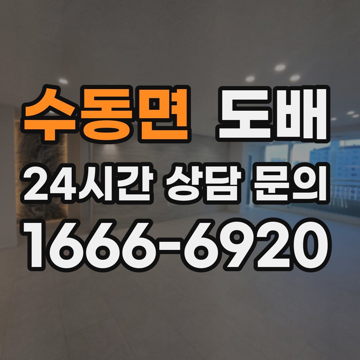 수동면 도배
