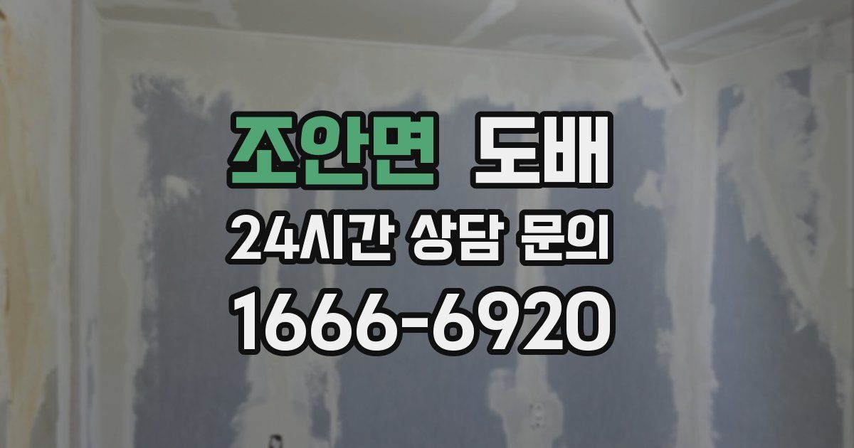 조안면 도배