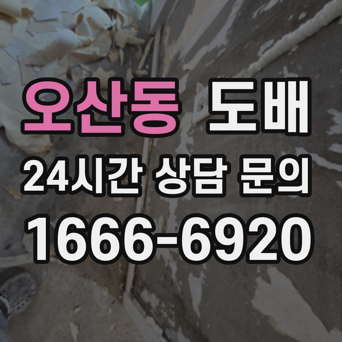 오산동 도배 벽지 구매 전 비교해야 할 항목